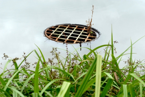 믿음하수구 PC 이미지 1671178